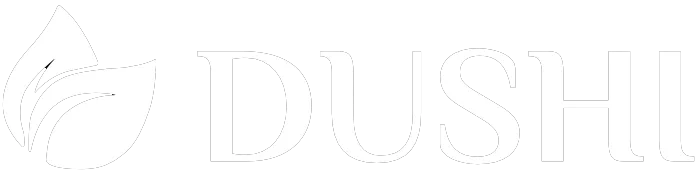 Dushi Salon