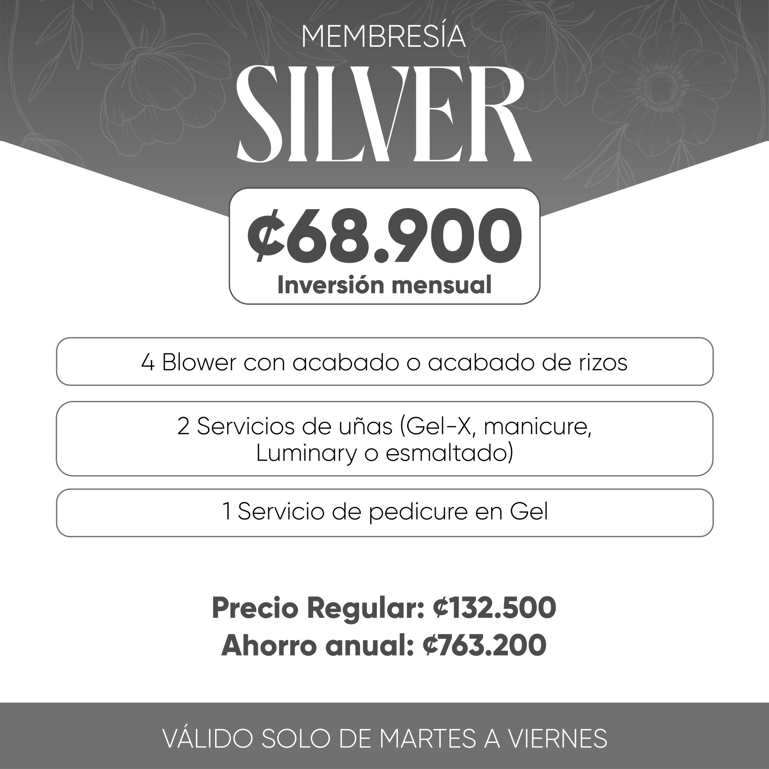 nuevo membresias 2026_SILVER-04 Membresía Silver - Imagen 1